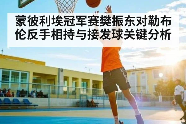 蒙彼利埃冠军赛樊振东对勒布伦反手相持与接发球关键分析 | kaiyun